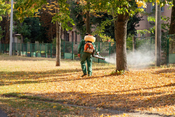 Best Residential Pest Control  in Shadyside, OH